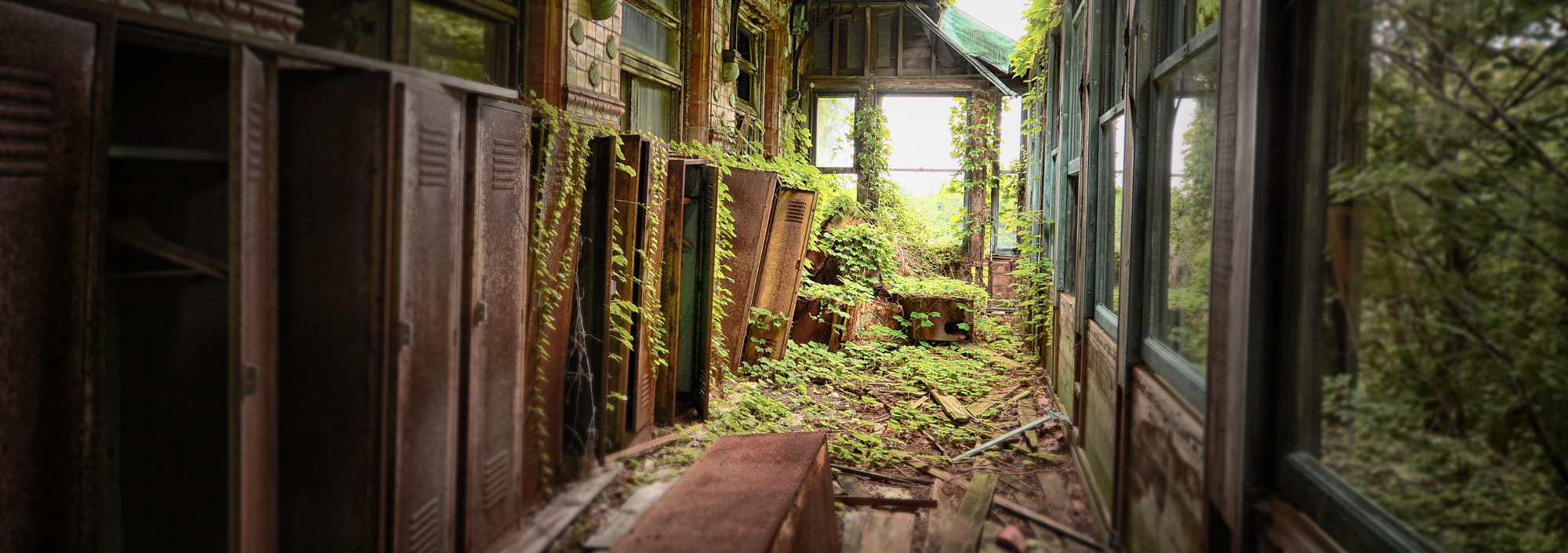 T  A B U L A  R A S A  photography