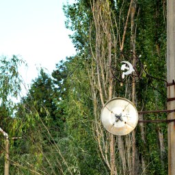 On the Merits of Authoritarianism