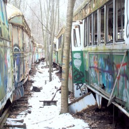 Trolley Graveyard