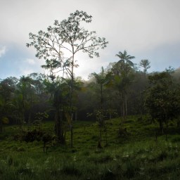 Ecuador the Beautiful