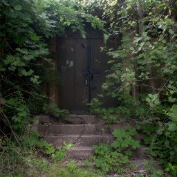 A School in the Dunes
