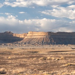 Beehive State of Mind