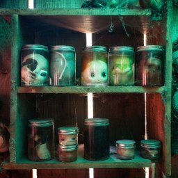 The Island of the Dolls