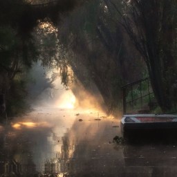 The Canals of Xochimilco